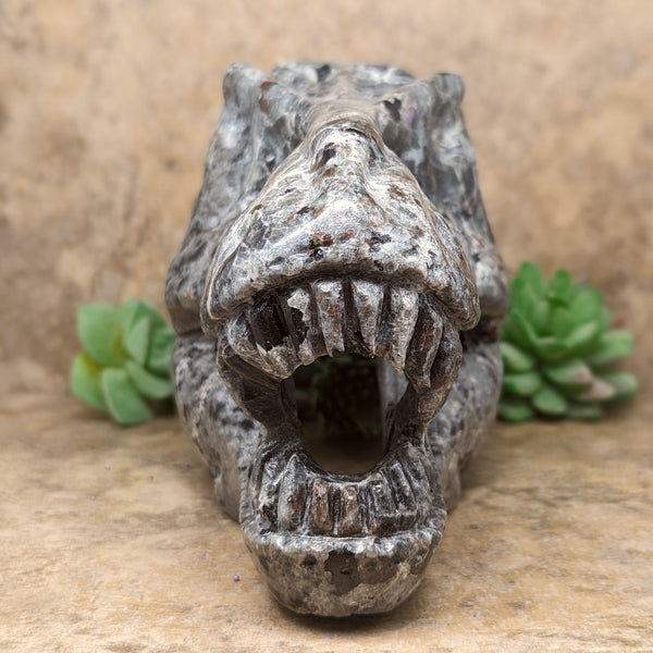 Emberlite T Rex Skull Carving~CREMTREX – EarthSpeak