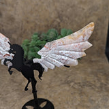 Agate Unicorn~CRAGAUNI