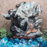 Amazonite 'Dolphin Reef" Carving~CRSEADRC
