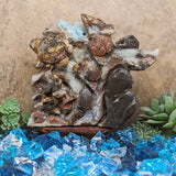 Amazonite 'Dolphin Reef" Carving~CRSEADRC