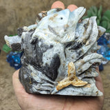 Amazonite 'Dolphin Reef" Carving~CRSEADRC