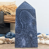 Blue Coral Generator~CRBLCR09