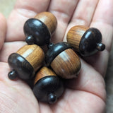 Abundance Acorns~CRACORNS