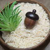 Abundance Acorns~CRACORNS