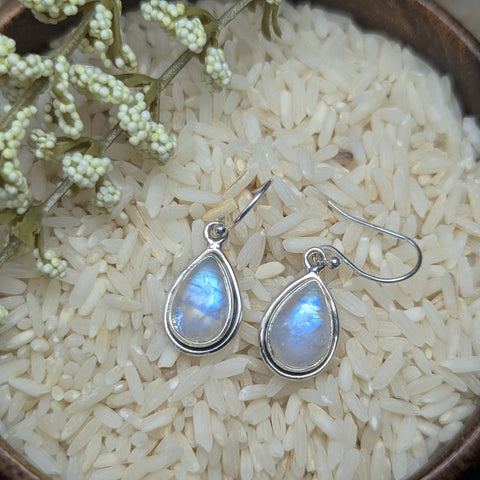 Rainbow Moonstone Earrings~JSSMOON2