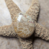 Agatized Coral Cabochon~CRAGCC01