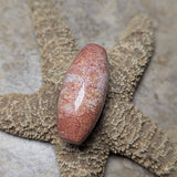 Agatized Coral Cabochon~CRAGCC03