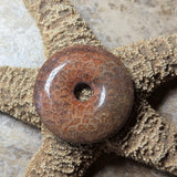 Agatized Coral Cabochon~CRAGCC07