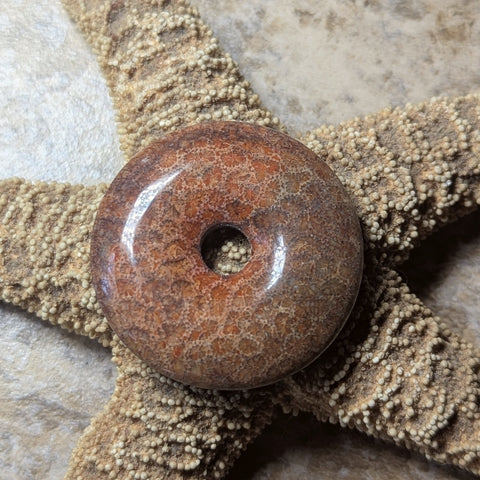 Agatized Coral Cabochon~CRAGCC07