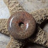 Agatized Coral Cabochon~CRAGCC07