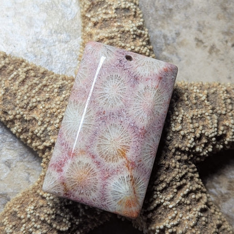 Agatized Coral Cabochon~CRAGCC09