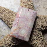 Agatized Coral Cabochon~CRAGCC09