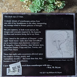 Tuned to a Synthesis~Purple Dawn