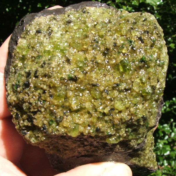Peridot & Basalt~New Mexico CRPERBAS – EarthSpeak