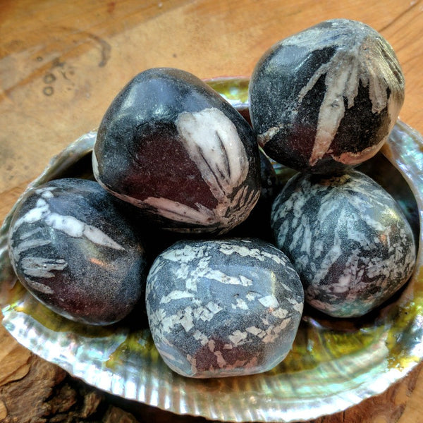 Tumbled Chrysanthemum Stone~TUMCSTS – EarthSpeak