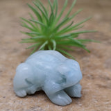 Amazonite Frog~ CRAMFROG