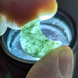 Actinolite In Quartz Moon~CRACTQMN