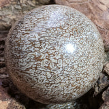 Dinosaur Bone Sphere~CRFDINO2