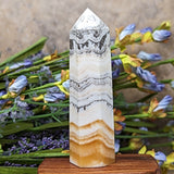 Dendritic Yellow Calcite Generator~Medium~CRDYCG04