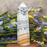 Dendritic Yellow Calcite Generator~Medium~CRDYCG04