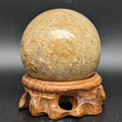 Dinosaur Bone Sphere~CRFDINO3
