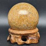 Dinosaur Bone Sphere~CRFDINO4