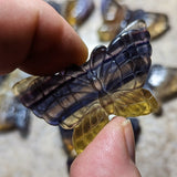 Fluorite Butterfly~CRFBTFLY