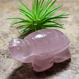 Cat's Eye Rose Quartz Turtle~CRCERQTR