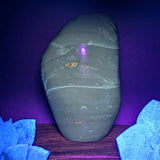 Blue Amber Free Form~CRIBAP21