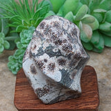 Rhyolite "Flame"~CRRHYFLM