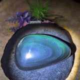 Rainbow Obsidian Palm Stone~CRROPS03
