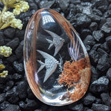 Lodolite Quartz "Guardian Angel Fish" Cabochon~CRLQZAF2