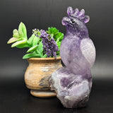 Amethyst Bird Carving~CRAMBIRD