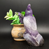 Amethyst Bird Carving~CRAMBIRD