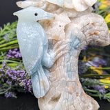 Amazonite Woodpecker Carving~CRAMWOOD