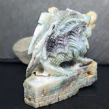 Amazonite "Firedrake" Castle Dragon Carving~CRAMFIRE