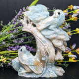 Amazonite "Feathered Friends" Bird Carving~CRAMFEAT