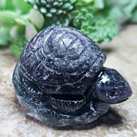 Fluorite Turtle Carving~CRFLTURT