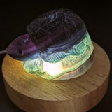 Fluorite Turtle Carving~CRFLTURT