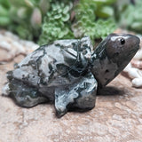 Moss Agate Sea Turtle Carving~CRMASEAT