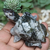 Moss Agate Sea Turtle Carving~CRMASEAT