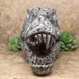 Emberlite T Rex Skull Carving~CREMTREX