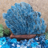 Blue Apatite Fish & Octopus Carving~CRSEABA1