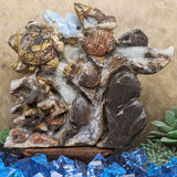 Amazonite 'Dolphin Reef" Carving~CRSEADRC