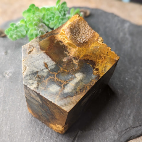 Polished Jasper & Limestone "Nugget"~CRJLNLCP