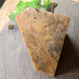 Polished Graphite in Quartz & Jasper "Nugget"~CRGQJNLC