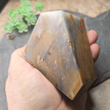 Polished Graphite in Quartz & Jasper "Nugget"~CRGQJNLC