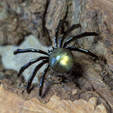 Labradorite Spider~CRLSPDR1