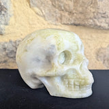 Serpentine in White Jade Skull~CRSWJSSK