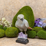 Peruvian Bird Carving~CRPBIRD2